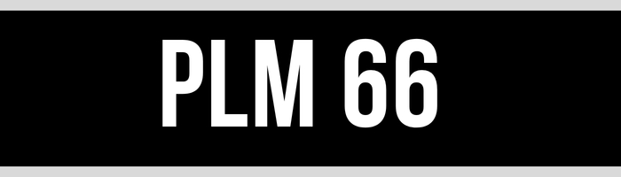 PLM 66
