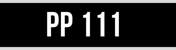 PP 111