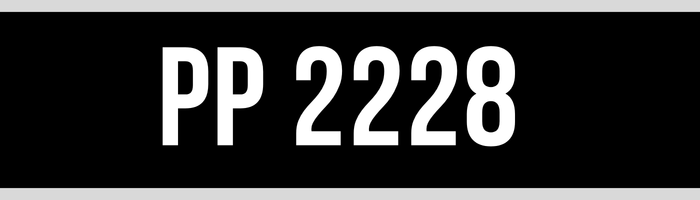 PP 2228