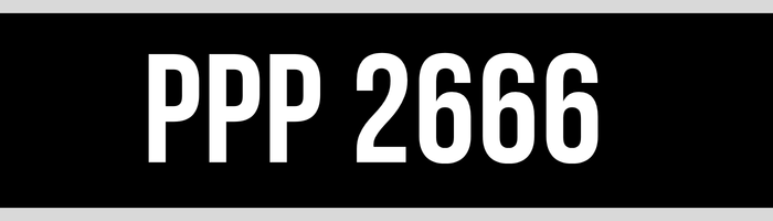 PPP 2666