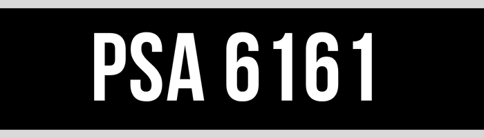 PSA 6161