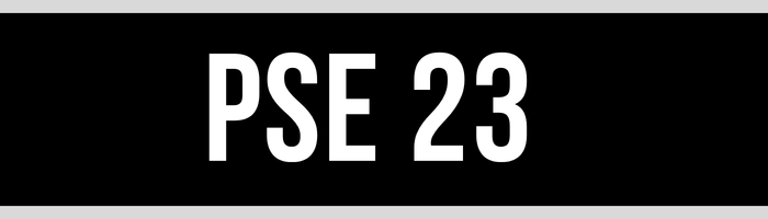 PSE 23