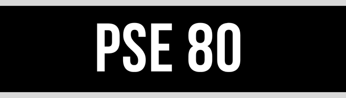 PSE 80