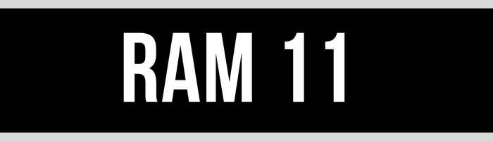 RAM 11
