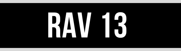 RAV 13