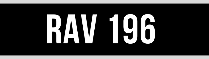 RAV 196