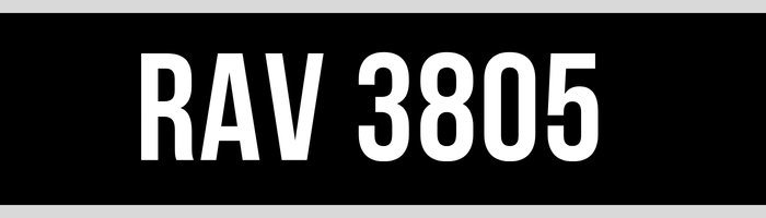 RAV 3805