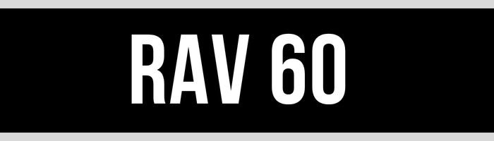 RAV 60