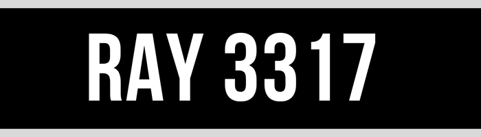 RAY 3317