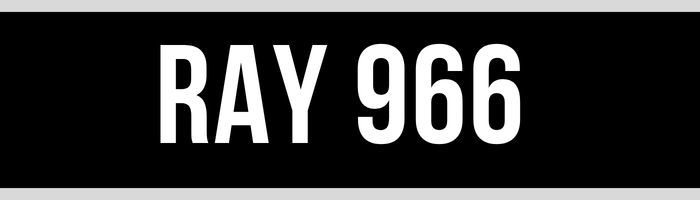 RAY 966