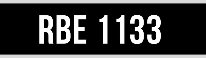 RBE 1133