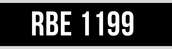 RBE 1199