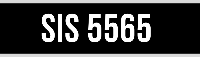 SIS 5565