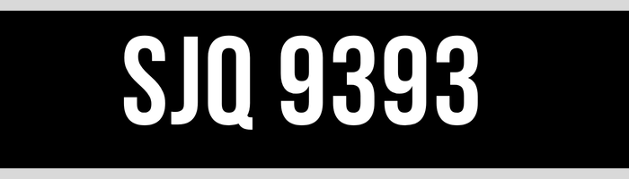 SJQ 9393