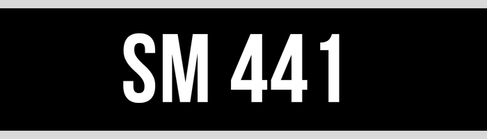SM 441