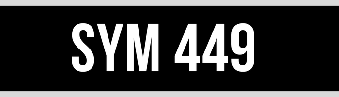 SYM 449