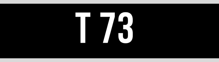 T 73