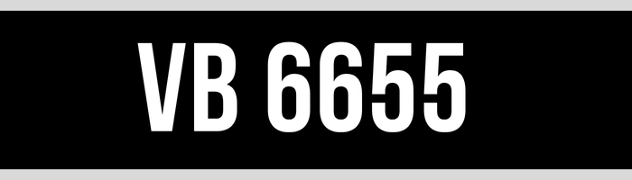 VB 6655