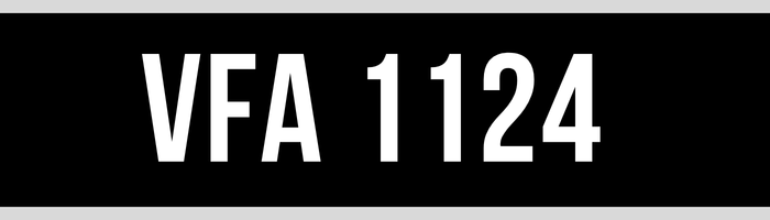 VFA 1124