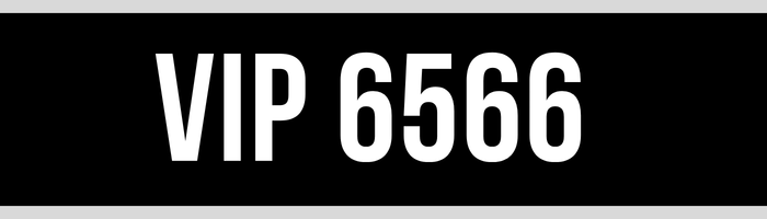 VIP 6566