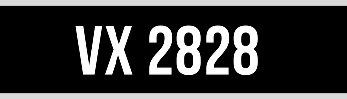 VX 2828