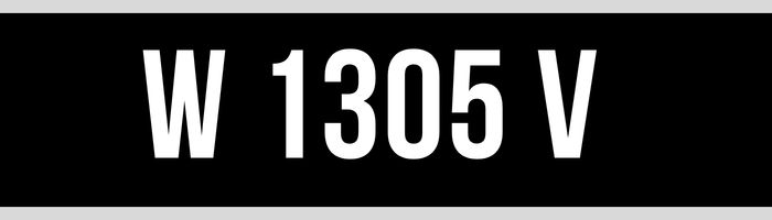 W 1305 V
