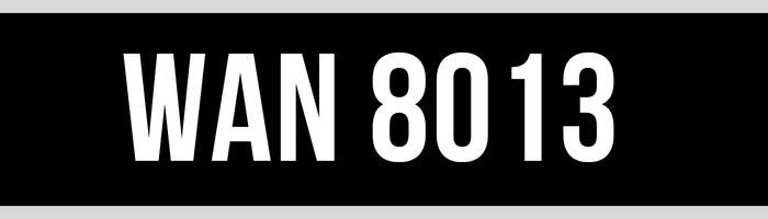 WAN 8013