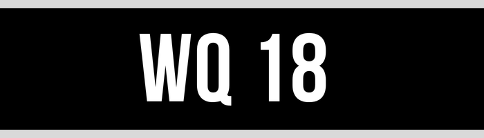 WQ 18