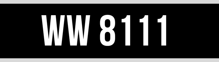 WW 8111