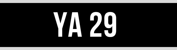 YA 29